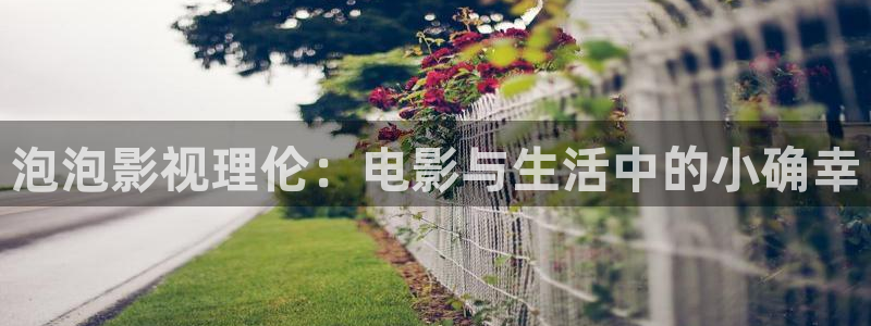 好好看影院：泡泡影视理伦：电影与生活中的小确幸