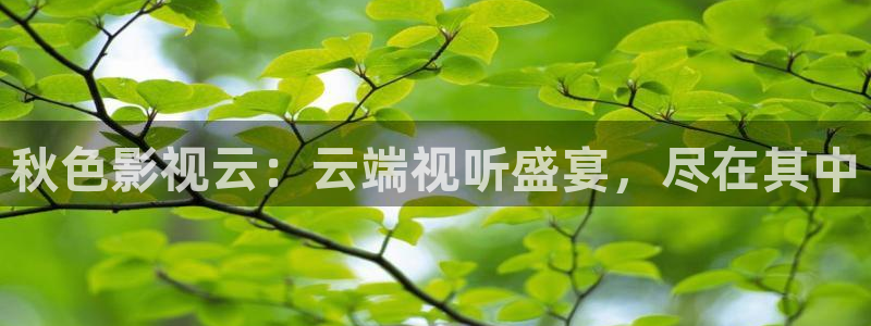 好看影院大全：秋色影视云：云端视听盛宴，尽在其中