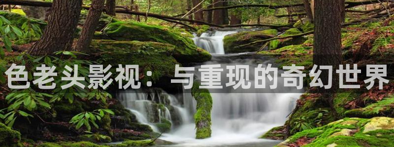 四虎好看影院