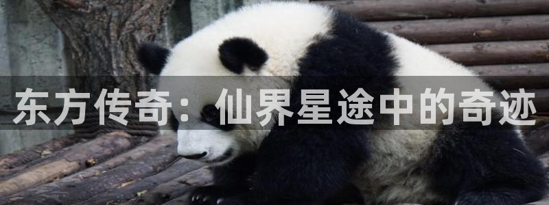 好看影院在线观看