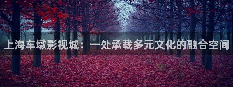 《四库影视》电视剧在线观看-好看影院