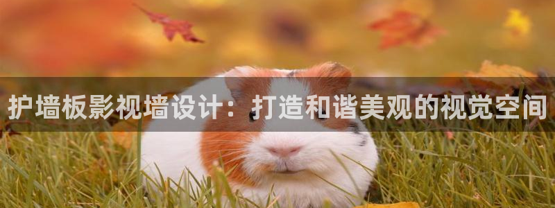 好好看影院